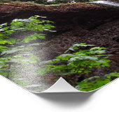 Impression Photo Parc d'état de Silver Falls (Coin)