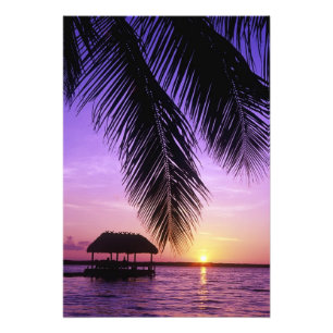 Impression Photo Parc d'État John Pennekamp, Florida Keys, Key