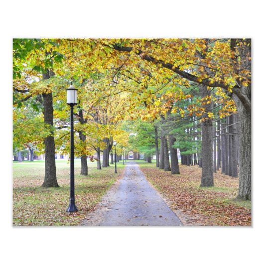 Impression Photo Parc d'état Spa de Saratoga (Devant)