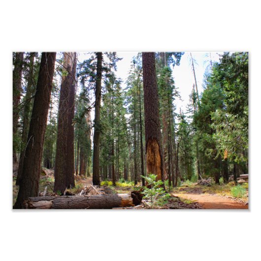 Impression Photo Parc national de Kings Canyon (Devant)