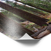 Impression Photo Parc national de Kings Canyon (Coin)