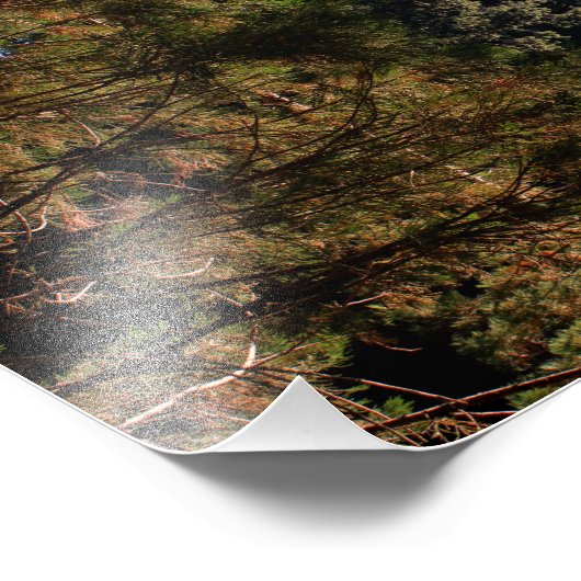 Impression Photo Parc national de Kings Canyon (Coin)