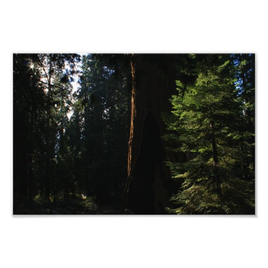 Impression Photo Parc national de Kings Canyon (Devant)