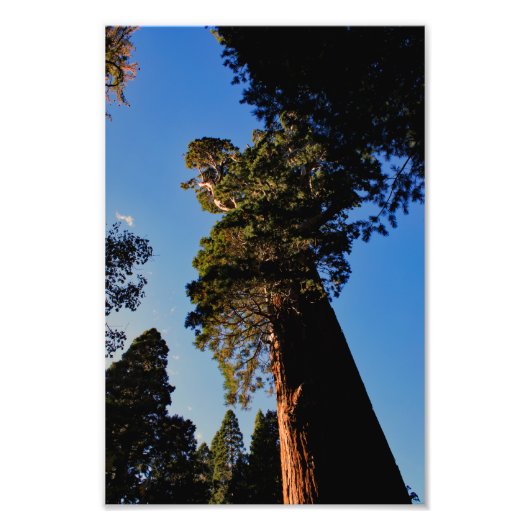Impression Photo Parc national de Kings Canyon (Devant)