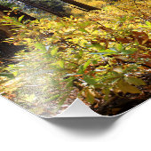 Impression Photo Parc national de Kings Canyon (Coin)