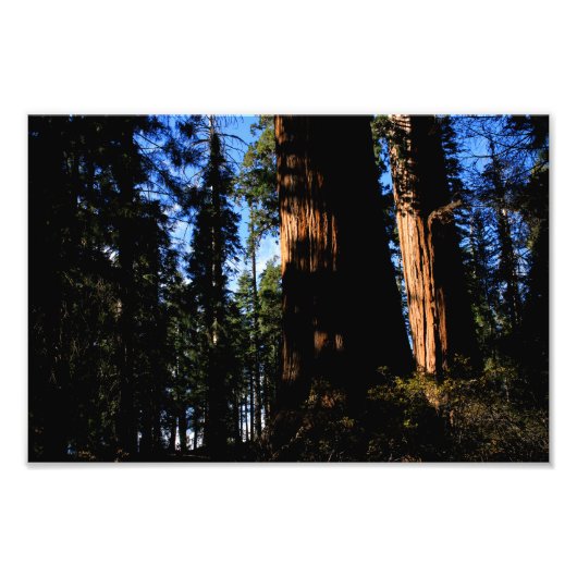 Impression Photo Parc national de Kings Canyon (Devant)