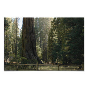 Impression Photo Parc national de Kings Canyon