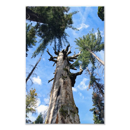 Impression Photo Parc national de Kings Canyon (Devant)