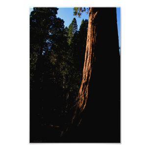 Impression Photo Parc national de Kings Canyon