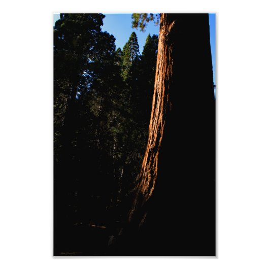 Impression Photo Parc national de Kings Canyon (Devant)