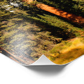 Impression Photo Parc national de Sequoia (Coin)