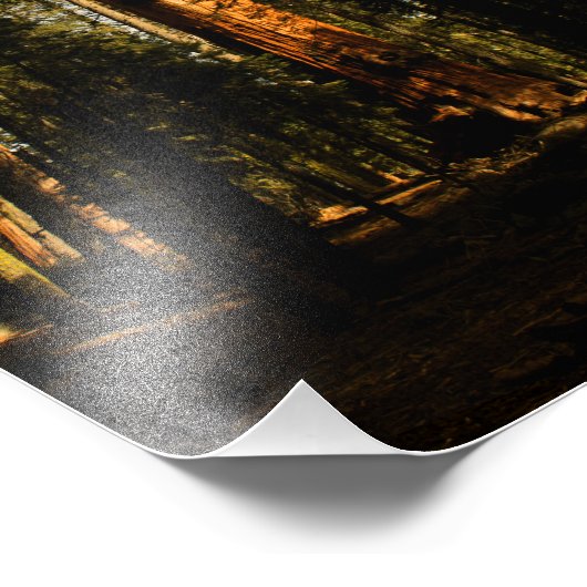 Impression Photo Parc national de Sequoia (Coin)