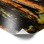 Impression Photo Parc national de Sequoia (Coin)