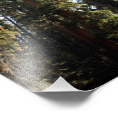 Impression Photo Parc national de Sequoia (Coin)