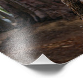 Impression Photo Parc national de Sequoia (Coin)