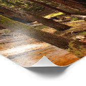 Impression Photo Parc national de Sequoia (Coin)
