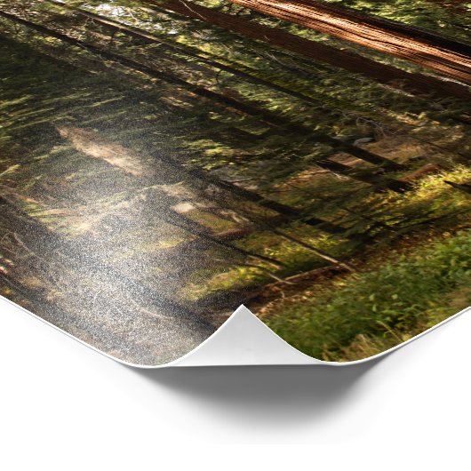 Impression Photo Parc national de Sequoia (Coin)