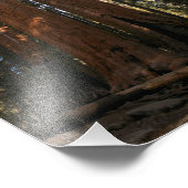 Impression Photo Parc national de Sequoia (Coin)