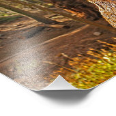 Impression Photo Parc national de Sequoia (Coin)