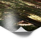 Impression Photo Parc national de Sequoia (Coin)
