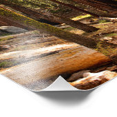 Impression Photo Parc national de Sequoia (Coin)