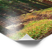 Impression Photo Parc national de Sequoia (Coin)