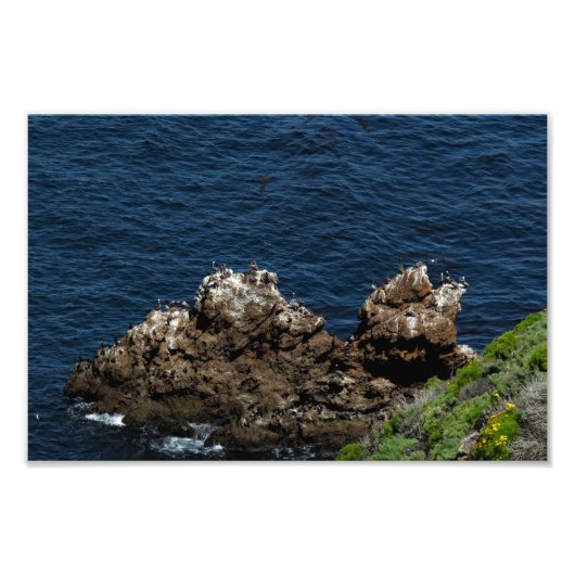 Impression Photo Parc national des îles Channel (Devant)