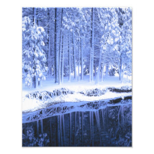 Impression Photo PARC NATIONAL DU YOSEMITE, CALIFORNIE. USA.Fraîch