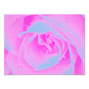 Impression Photo Parfait détail de rose rose chaud et bleu clair