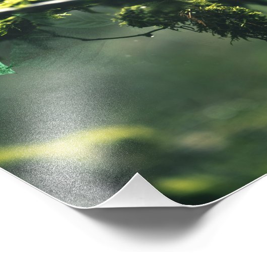 Impression Photo Parrot écarlate macaw dans la jungle avec des fleu (Coin)