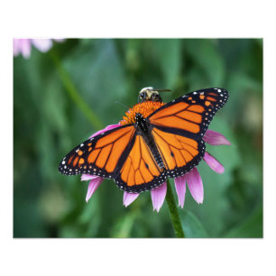 Impression Photo Partager Un Repas