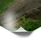 IMPRESSION PHOTO "PAS DE CHEMIN" (Coin)