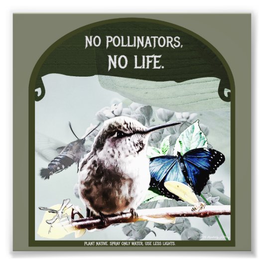 Impression Photo Pas de pollinisateurs, pas de vie (Devant)