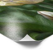 Impression Photo Pastel Tulips (Coin)