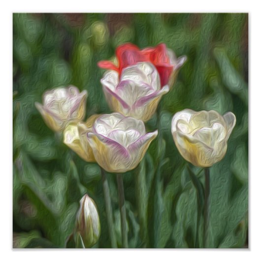 Impression Photo Pastel Tulips (Devant)