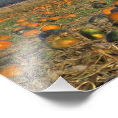 Impression Photo Patch Citrouille Flathead Valley Montana (Coin)