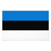 Impression Photo Pavillon Estonie (Devant)