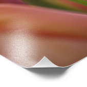 Impression Photo Pays-Bas alias Holland), Lisse. Keukenhof (Coin)