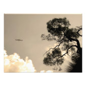 Impression Photo paysage (Devant)