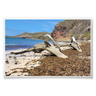 Impression Photo paysage