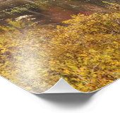 Impression Photo Paysage d'automne avec lac, Vermont, USA 2 (Coin)