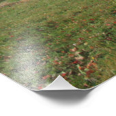Impression Photo Paysage d'automne jaune avec érable (Coin)