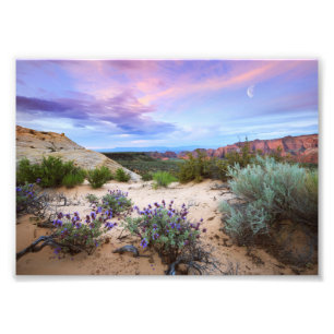 Impression Photo Paysage des Fleurs sauvages de Sunrise Canyon Snow