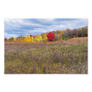 Impression Photo paysage des prairies en automne au parc d'état aft