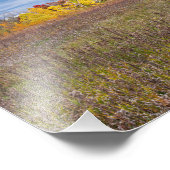 Impression Photo paysage des prairies en automne au parc d'état aft (Coin)