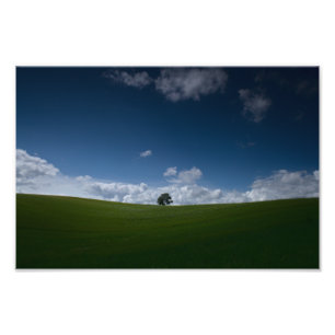 Impression Photo Paysage d'été (Old Linslade 8355) 