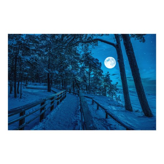 Impression Photo Paysage d'hiver avec pinède enneigée (Devant)