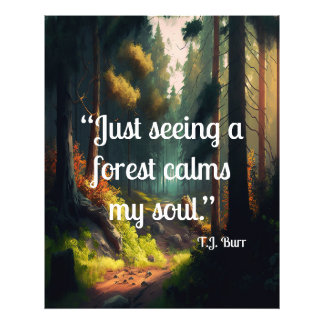 Impression Photo Paysage forestier