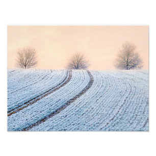 Impression Photo Paysage hivernal pittoresque Arbres Hoarfrost Pape