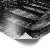 Impression Photo Paysage Les arbres naturels (Coin)